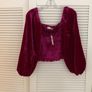 Anthropologie velvet puff sleeve top NWT